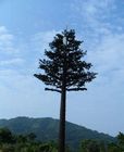 Longlife 50m закамуфлированное дерево башни сотового телефона